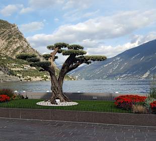 Uferpromenade
