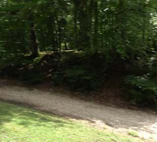 Wanderweg - Alter Steinbruch Pfaffenberg Runde