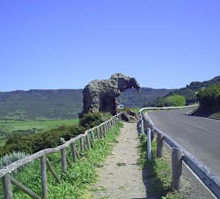 Steinerner Elefant bei Castelsardo