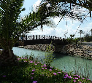 Brücke über das Flüßchen Köhler