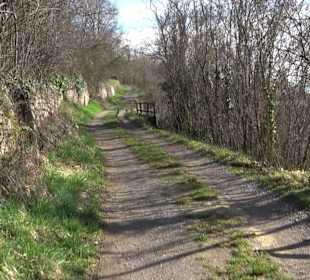 Hirschauer Spitzbergwegle (Premiumspazierwanderweg