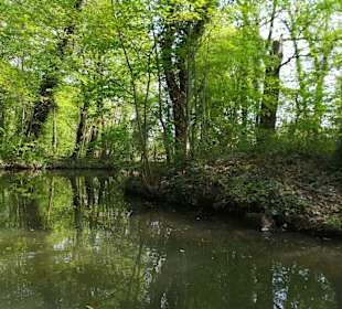 Spreewald