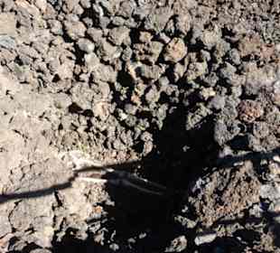 Unterwegs im Archäologiepark Maipés