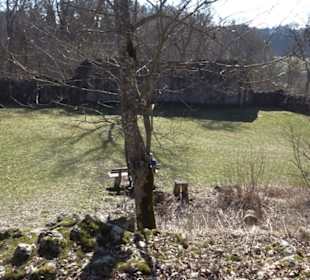 Burgruine Hohenstein