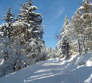 Wanderung zum Inselberg