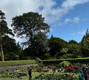 Killarney National Park