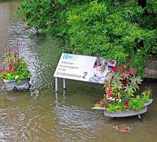 Stadt Erfurt im Bild Sept.2010