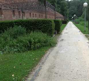 Baumlehrpfad Glacis Park