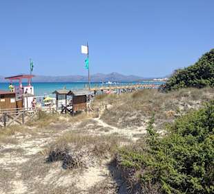 Dünen Strandeingang