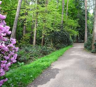 Impressionen aus dem Rhododendronpark Gristede