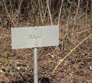 Premiumwanderweg "hochgeblickt"