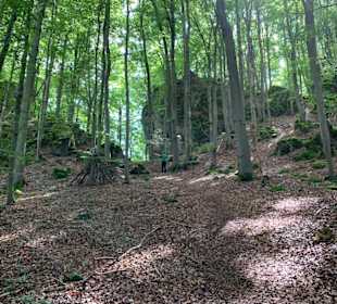 Wandern Simmelsdorf