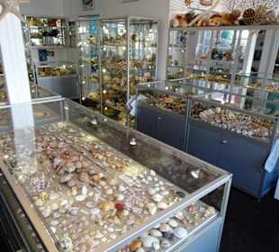 In den Räumen des Muschelmuseum Hooksiel