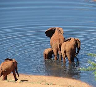 Elefanten an der Voi Lodge