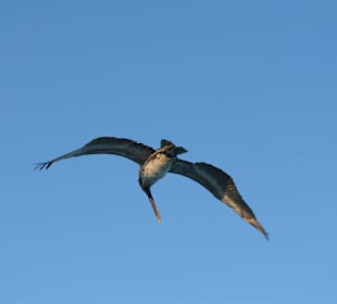 Strand Playa del Carmen