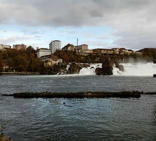 Schlössli Wörth in Neuhausen am Rheinfall