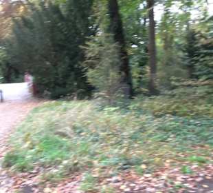 Schlosspark Charlottenburg