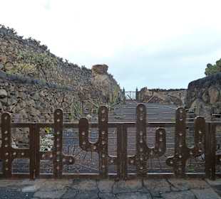 Tor im Kakteengarten