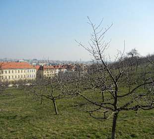 Petrin Turm