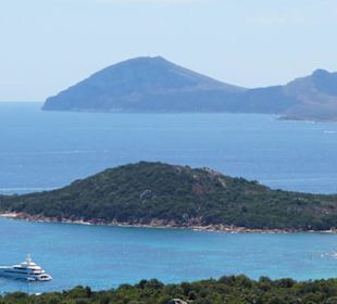 Die erste Jacht ist schon in Sichtweite