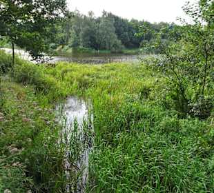 Impressionen vom Rundweg um den Weichelsee