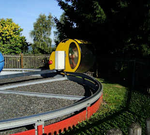 Der drehende Mohn (Vorwerts & Rückwärtsdrehung)