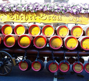 Tucher Bräu 6 Rheinländischen Kaltblüter