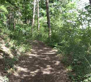 Schutzgebiet Spitzberg, Pfaffenberg