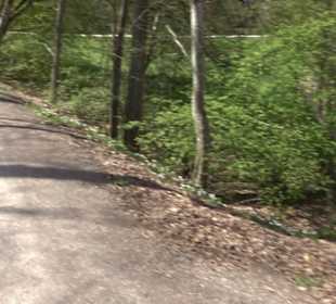 Das Aichtal bei Waldenbuch