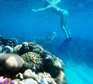 Úžásný podmořský svět kousek od pláže