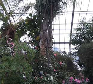 Flora und Botanischer Garten