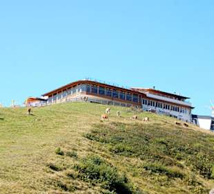 Bick zurück auf die Bergstation Hartkaiser