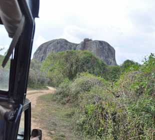 Yala Safari