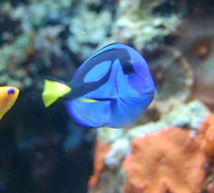 Zoo Warszawa