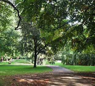 Rundgang durch Knoops Park im Herbst