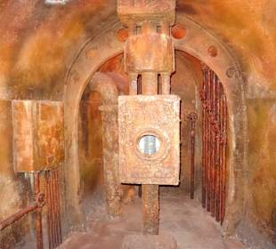 Im Aquarium unterwegs