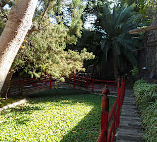 Taoro Parque 