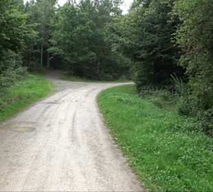 FriedWald Schönbuch