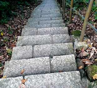 Elephant Mountain Xiangshan Hiking Trail