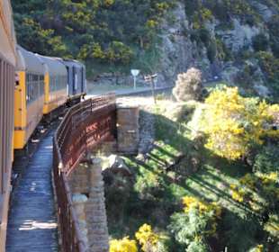 Mitder Taileri Railway durch die Natur Neuseelands
