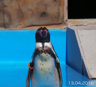 Discovery Park Manavgat