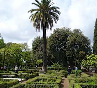 Forum Romanum & Palatin