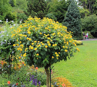 Mainau