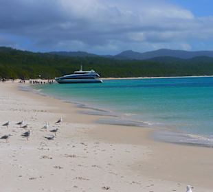 Strand Whitehaven Beach