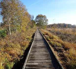 Auf dem Bohlenweg rund um das Ewige Meer
