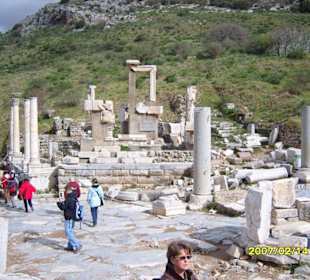 Neben dem Pollio Brunen!