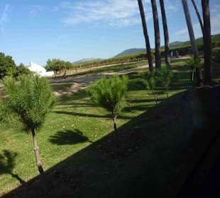 Weingebiet Stellenbosch