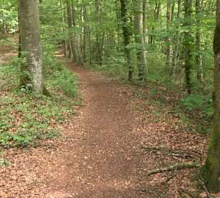 Wanderrunde Emeringen zum Rechtenstein