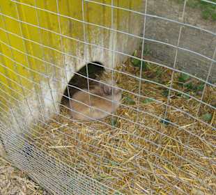 Bumbaurhof