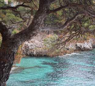 Höhlen von Arta/Cuevas de Artá